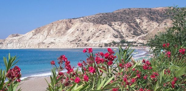 Растительность Кипра 