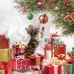 котенок с подарками