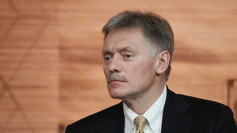 Идея системы безопасности может оградить Россию от угроз, заявил Песков